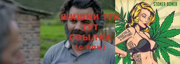 МДПВ Слюдянка
